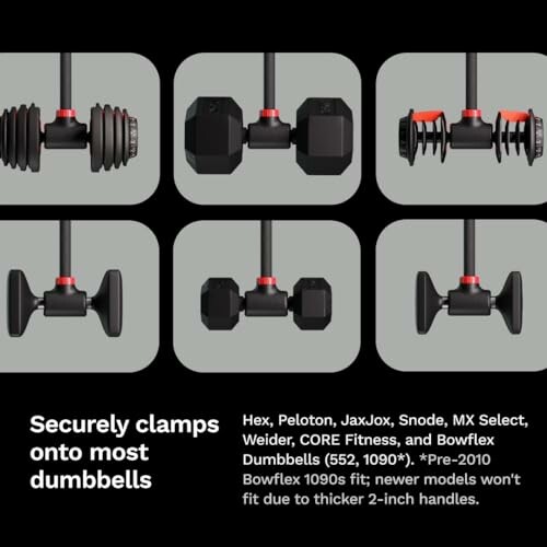 Different dumbbell models compatible with clamps.