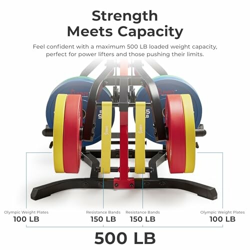 Barbell stand with Olympic plates and resistance bands, 500 LB capacity.